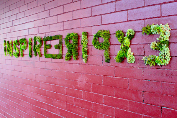 Moss Public Art at O Positive by Alexandro Pacheco